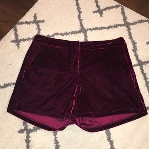 Maroon velvet shorts